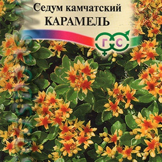 Седум Карамель камчатский, 0,01 г