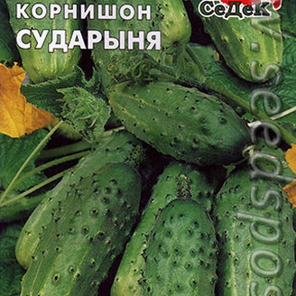 Огурец-корнишон Сударыня, 0,3 г