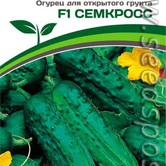 Огурец Семкросс F1, 0,5 г