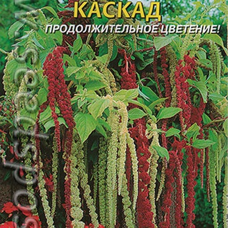 Амарант хвостатый Каскад, 0,5 г