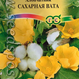 Хлопчатник Сахарная вата, 3 шт.