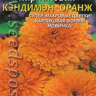 Календула карликовая Кэндимэн Оранж, 0,2 г