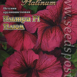 Петуния крупноцветковая Ультра Плюм F1, 15 шт. Platinum