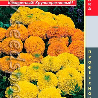 Бархатцы Антигуа Микс F1, 5 шт. Профессиональная коллекция