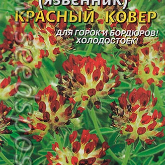 Анхиллис (язвенник) Красный ковер, 0,02 г