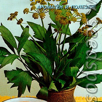 Любисток Удалец, 0,5 г пряно-ароматическое растение