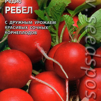 Редис Ребел, 1 г (Bejo Zaden)