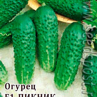 Огурец Пикник F1, 100 шт. Профессиональная упаковка