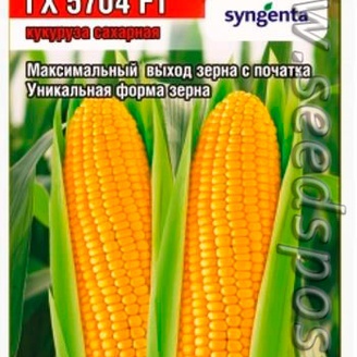 Кукуруза сахарная ГХ 5704 F1, 6 шт.