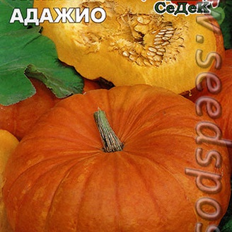 Тыква Адажио, 1 г