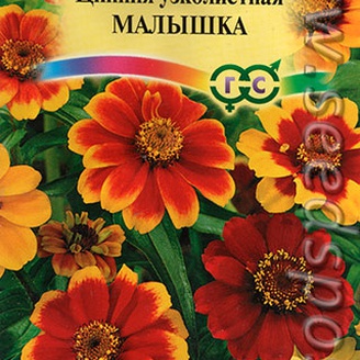 Цинния Малышка карликовая, Смесь, 0,3 г