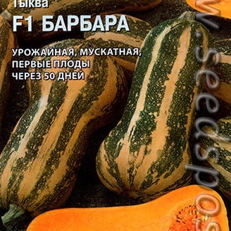 Тыква Барбара F1, 5 шт. Sakata