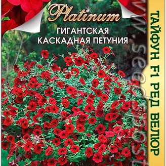 Петуния гигантская каскадная Тайфун Ред Велюр F1, 5 шт. Platinum