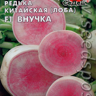 Редька китайская (лоба) Внучка F1, 1 г