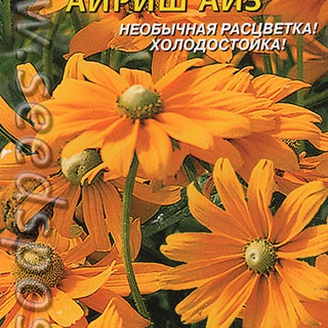 Рудбекия Айриш Айз, 10 шт.