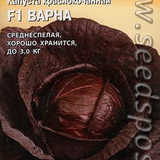 Капуста краснокочанная Варна F1, 15 шт. Sakata