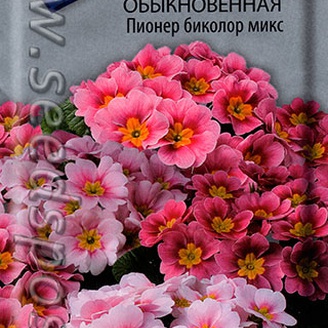 Примула обыкновенная Пионер Биколор Микс, 10 шт.